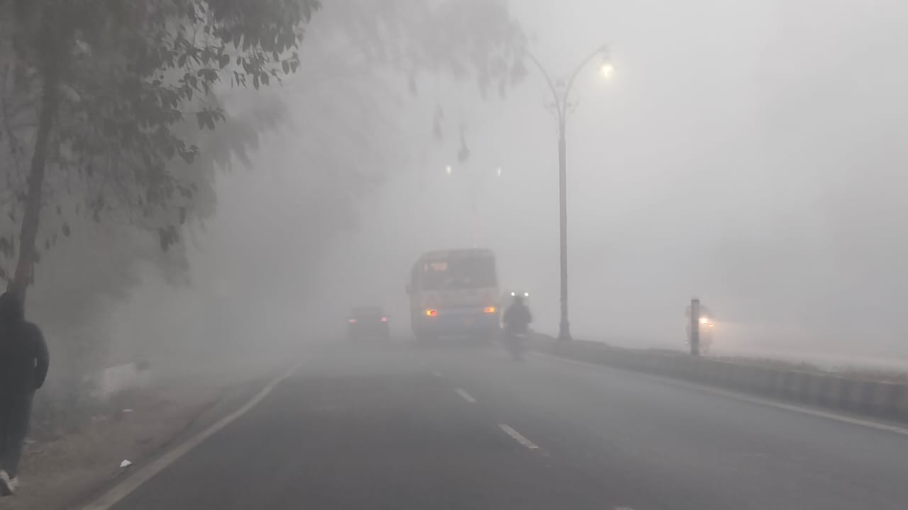 कोहरा घना होने से सरसों की फसल पर जमीं ओस की बूंदे। अशोक कुमार/ संवाद कोहरा घना होने से सरसों की फसल पर जमीं ओस की बूंदे। अशोक कुमार/ संवाद