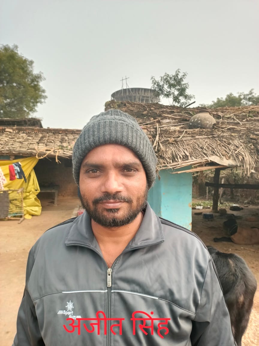 नेवादा ब्लाक के तिल्हापुर और जवई गांव के बीच गेहूं की फसल चरते छुट्टा पशु नेवादा ब्लाक के तिल्हापुर और जवई गांव के बीच गेहूं की फसल चरते छुट्टा पशु