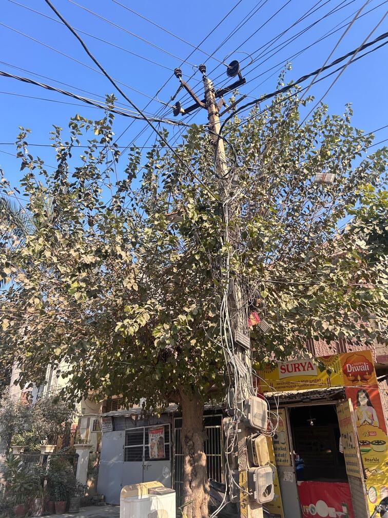 प्रवीन सहगल, आरडब्ल्यूए प्रधान, सुभाष नगर।