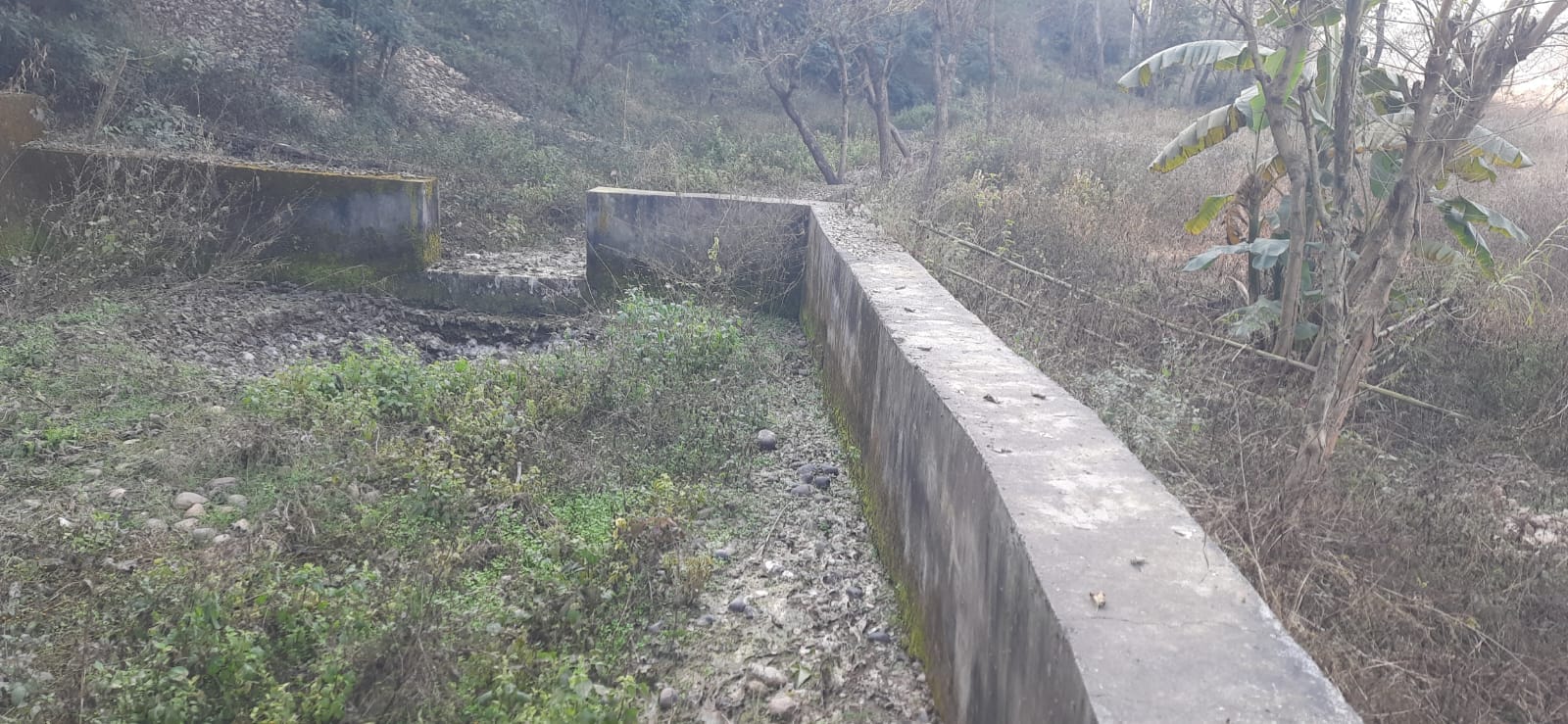 रजत धीमान निवासी शुक्कर खड्ड