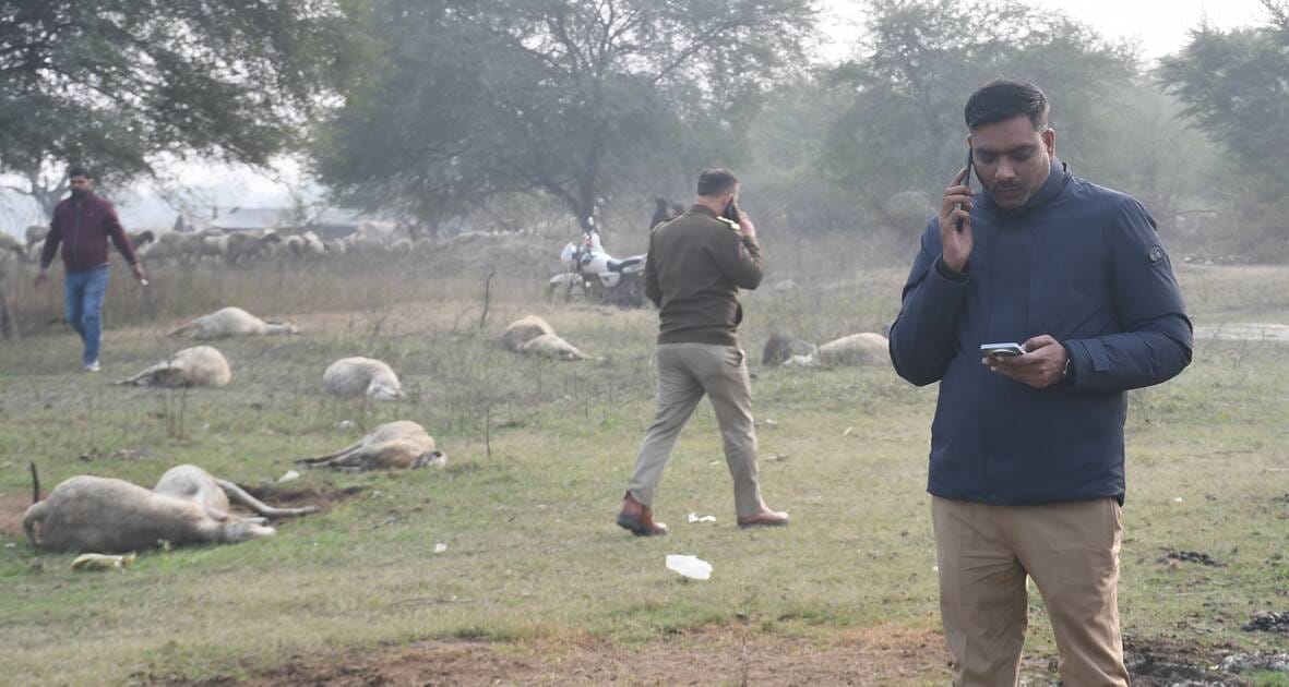 भेड़ाें की मौत के बाद जांच करने पहुंची पुलिस व अन्य लोग।