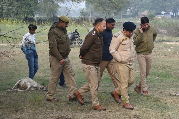 घैला पुल के किनारे भेड़ों की मौत हो गई। डॉक्टर की टीम व पुलिस ने मौके पर पहुंचकर जांच की। घैला पुल के किनारे भेड़ों की मौत हो गई। डॉक्टर की टीम व पुलिस ने मौके पर पहुंचकर जांच की।