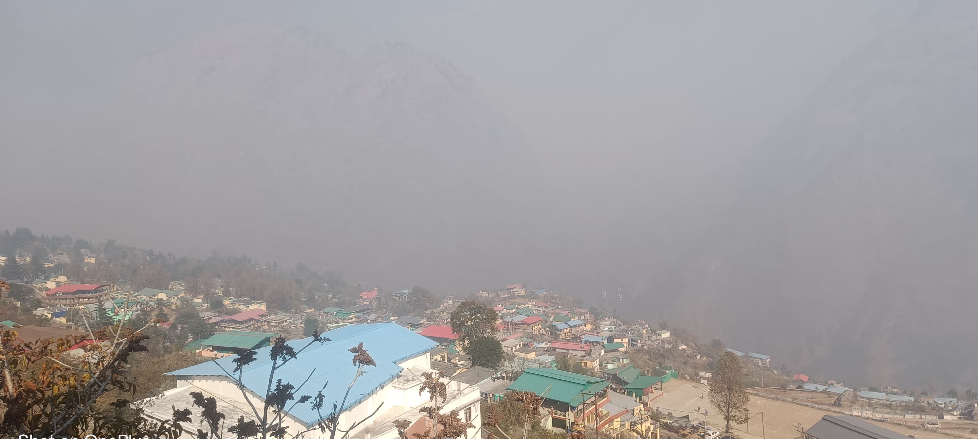 पोखरी में जंगल की आग बुझाने में जुटे वन कर्मी। स्रोत: वन विभाग 