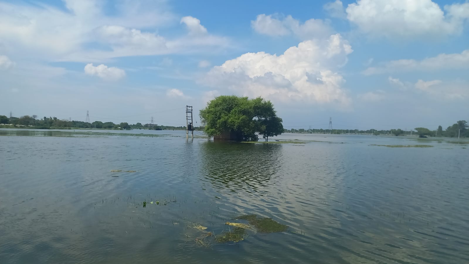30jjrp10- झाड़ली पॉवर प्लांट में इस साल हुए हादसे में झुलसे कर्मचारी का फोटो। स्रोत-ग्रामीण 30jjrp10- झाड़ली पॉवर प्लांट में इस साल हुए हादसे में झुलसे कर्मचारी का फोटो। स्रोत-ग्रामीण