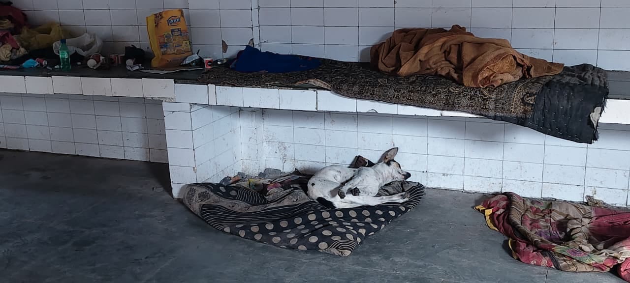 भीषण ठंड में खुले में बैठे तीमारदार। संवाद भीषण ठंड में खुले में बैठे तीमारदार। संवाद