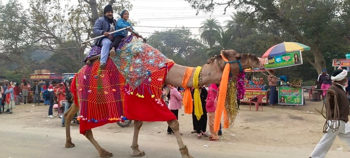 प्राचीन पांडेश्वर महादेव के दर्शन करते श्रद्धालु स्रोत संवाद