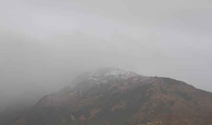 धर्मशाला में दोपहर बाद शुरू हुई बारिश में छाता लिए गंतव्य को जाती महिला। संवाद