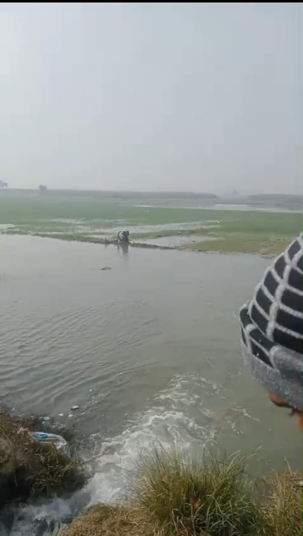 छपिया छि छिटोना में नहर कटने से डूबी फसल छपिया छि छिटोना में नहर कटने से डूबी फसल