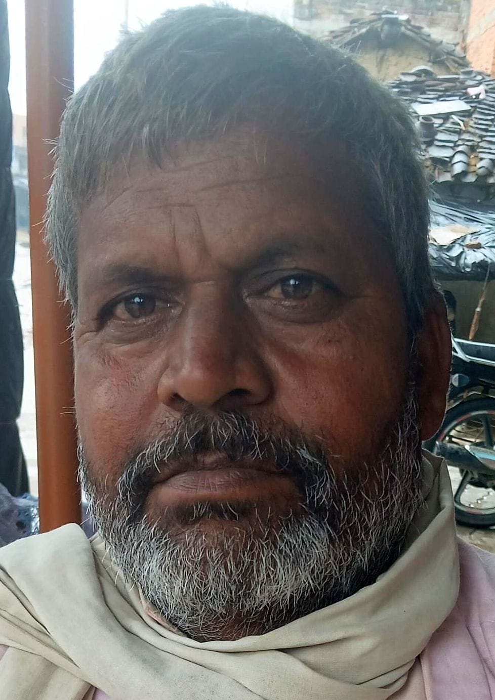 फोटाे 01 एमएएचपी 19 परिचय-कुलपहाड़ क्षेत्र में पाले से इस तरह प्रभावित हो रही सरसों की फसल। संव