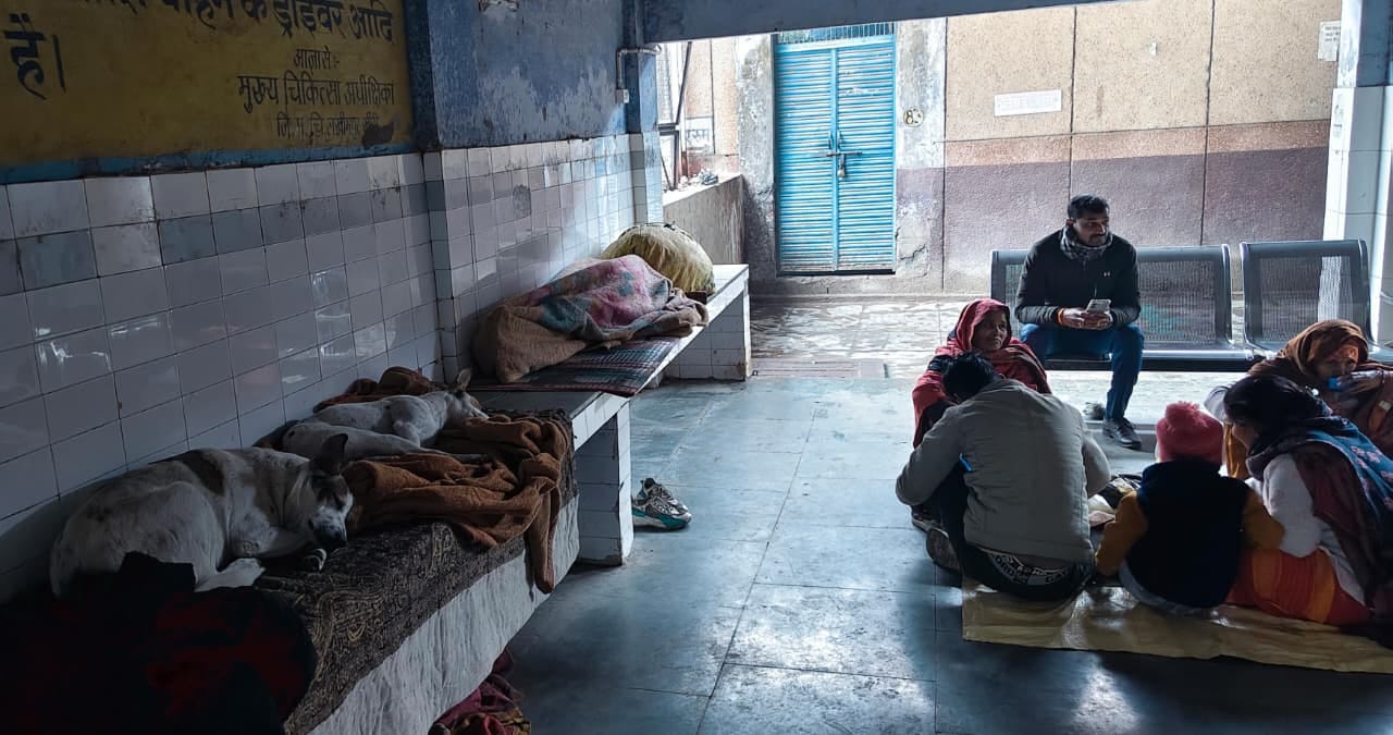 जिला महिला अस्पताल में रैन बसेरा में टहलता बेसहारा कुत्ता। संवाद जिला महिला अस्पताल में रैन बसेरा में टहलता बेसहारा कुत्ता। संवाद