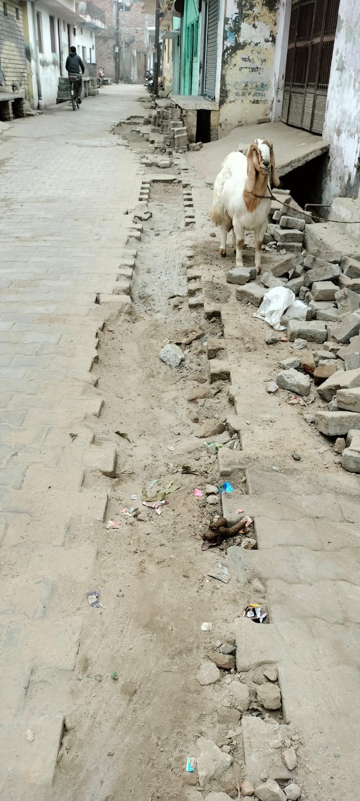 कृष्ण कुमार सक्सेना उर्फ लालू पुजारी, पार्षद। स्रोत: स्वयं