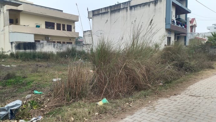 कमल सिंगला, प्रधान, वेलफेयर एसोसिएशन सेक्टर-10।