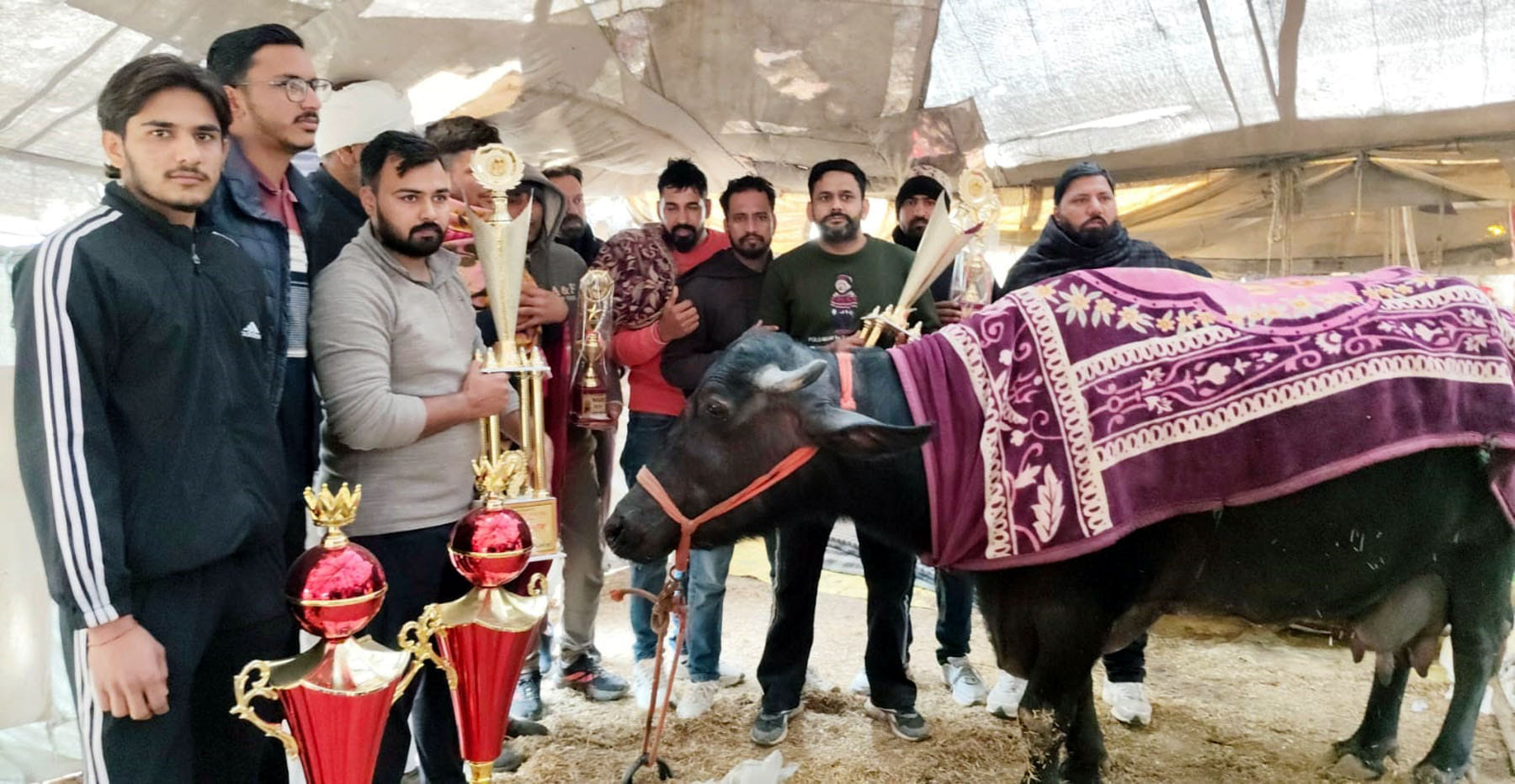 3केएलटी9: अपने इनामों के साथ पहला, दूसरा व तीसरा स्थान हासिल करने वाले पशुपालक 3केएलटी9: अपने इनामों के साथ पहला, दूसरा व तीसरा स्थान हासिल करने वाले पशुपालक