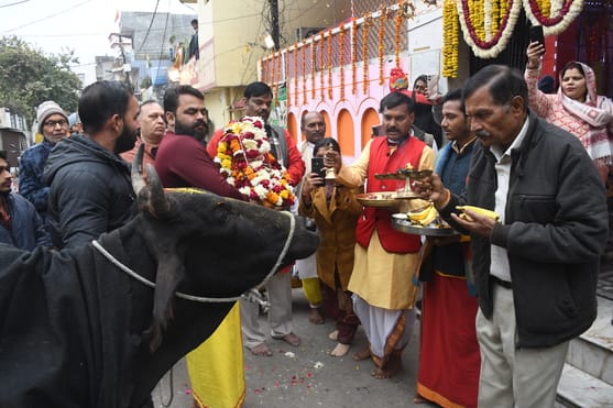 धूमधाम से निकाली बाबा महाकाल की ध्वजा यात्रा धूमधाम से निकाली बाबा महाकाल की ध्वजा यात्रा