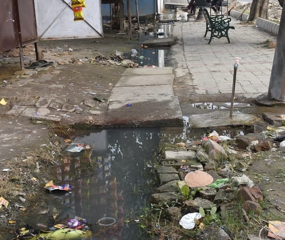 सीडीआरआई के पास बनी ग्रीन बेल्ट में जल रहा कूड़ा। सीडीआरआई के पास बनी ग्रीन बेल्ट में जल रहा कूड़ा।