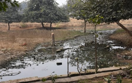 सीडीआरआई के पास बनी ग्रीन बेल्ट में जल रहा कूड़ा। सीडीआरआई के पास बनी ग्रीन बेल्ट में जल रहा कूड़ा।