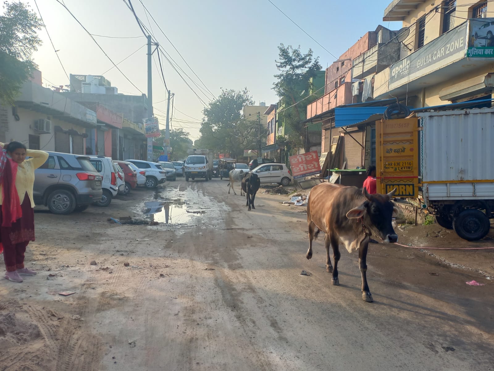 05jjrp14- आर्य नगर में एक खाली प्लाट में खडे़ नंदी। संवाद