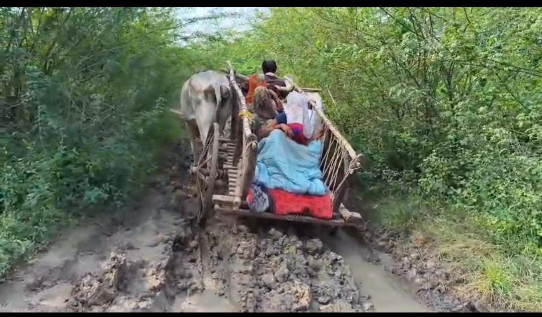फोटो 05 एचएएमपी 19- छानी-भुलसी मार्ग के निर्माण को लेकर प्रदर्शन करते ग्रामीण।  संवाद