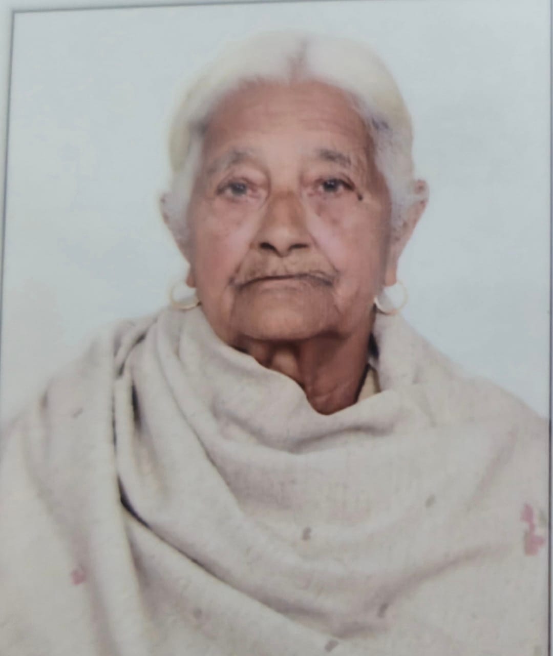 गोहाना के मुगलपुरा इलाके में एक गली में बंदरों का झुंड। स्रोत: संवाद गोहाना के मुगलपुरा इलाके में एक गली में बंदरों का झुंड। स्रोत: संवाद
