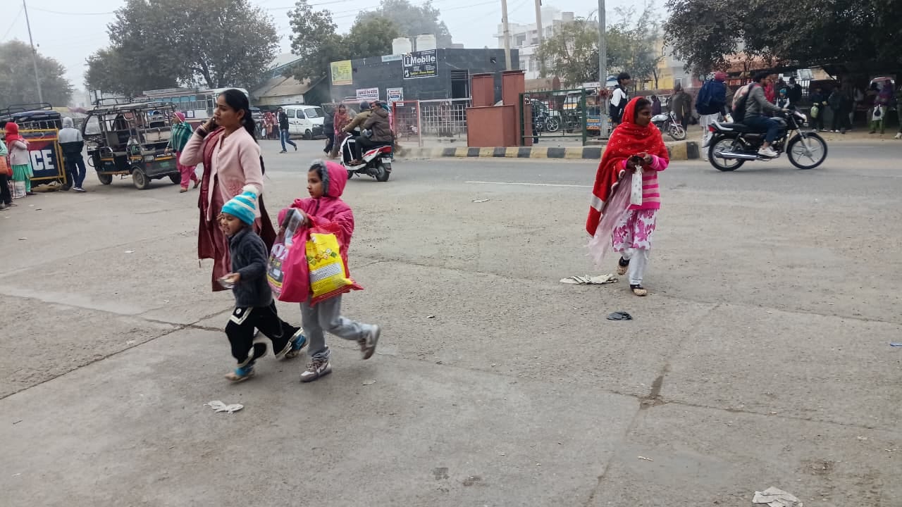गांव मेहूवाला में सरसों की फसल पौधों की फलियाें पर जमा ओंस का पानी। संवाद गांव मेहूवाला में सरसों की फसल पौधों की फलियाें पर जमा ओंस का पानी। संवाद