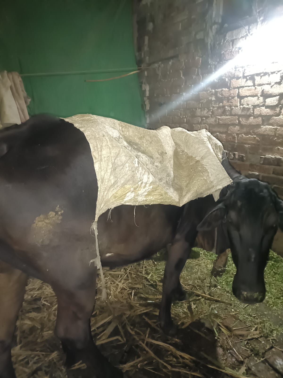 जगाधरी के सिविल अस्पताल में धूप सेंकते लोग। संवाद