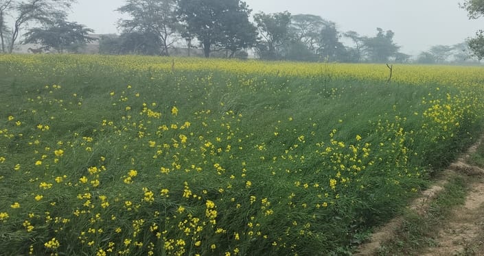 जीटी रोड पर बस स्टैंड के समीप बाइक से सफर के दौरान सर्दी लगने पर बाइक रोककर बच्चों के लिए गर्म जीटी रोड पर बस स्टैंड के समीप बाइक से सफर के दौरान सर्दी लगने पर बाइक रोककर बच्चों के लिए गर्म
