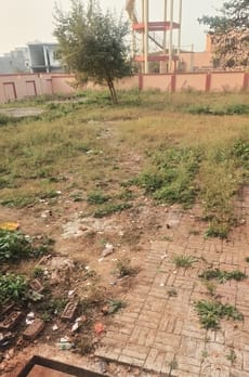 सरोजनीनगर तहसील परिसर में फैली गंदगी। सरोजनीनगर तहसील परिसर में फैली गंदगी।