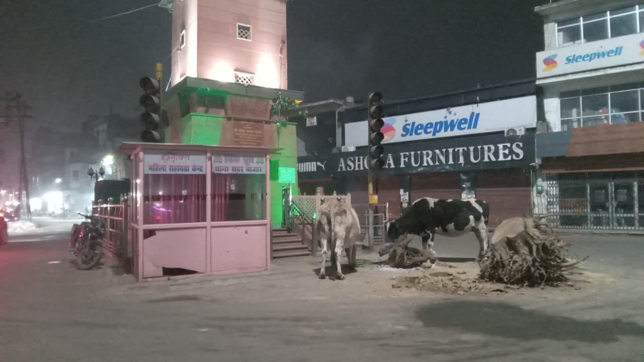 बहादुरगंज पुलिस पिकेट पर खड़ा होमगार्ड। संवाद बहादुरगंज पुलिस पिकेट पर खड़ा होमगार्ड। संवाद
