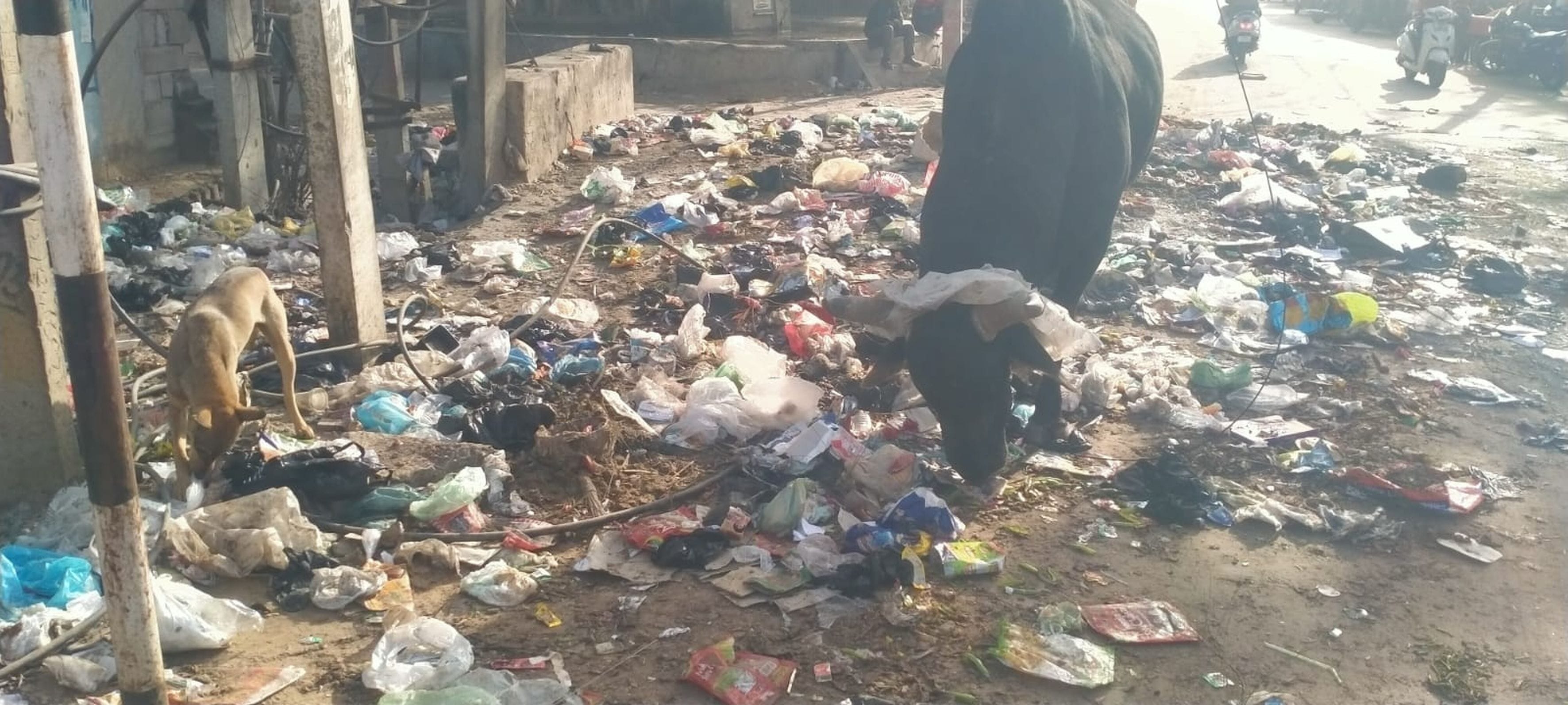 फोटो संख्या:60 रवि कुमार