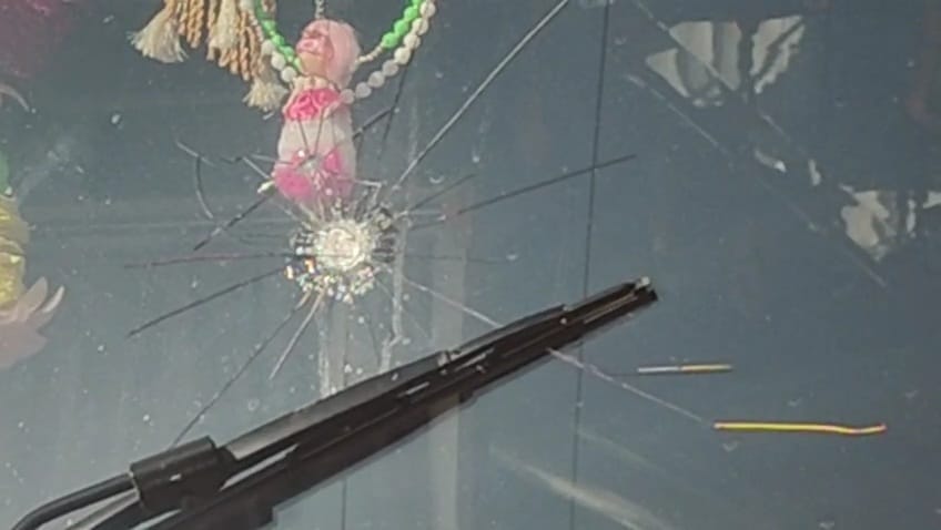 बस में तोड़ फोड़ करता आरोपी। वीडियोग्रैब।