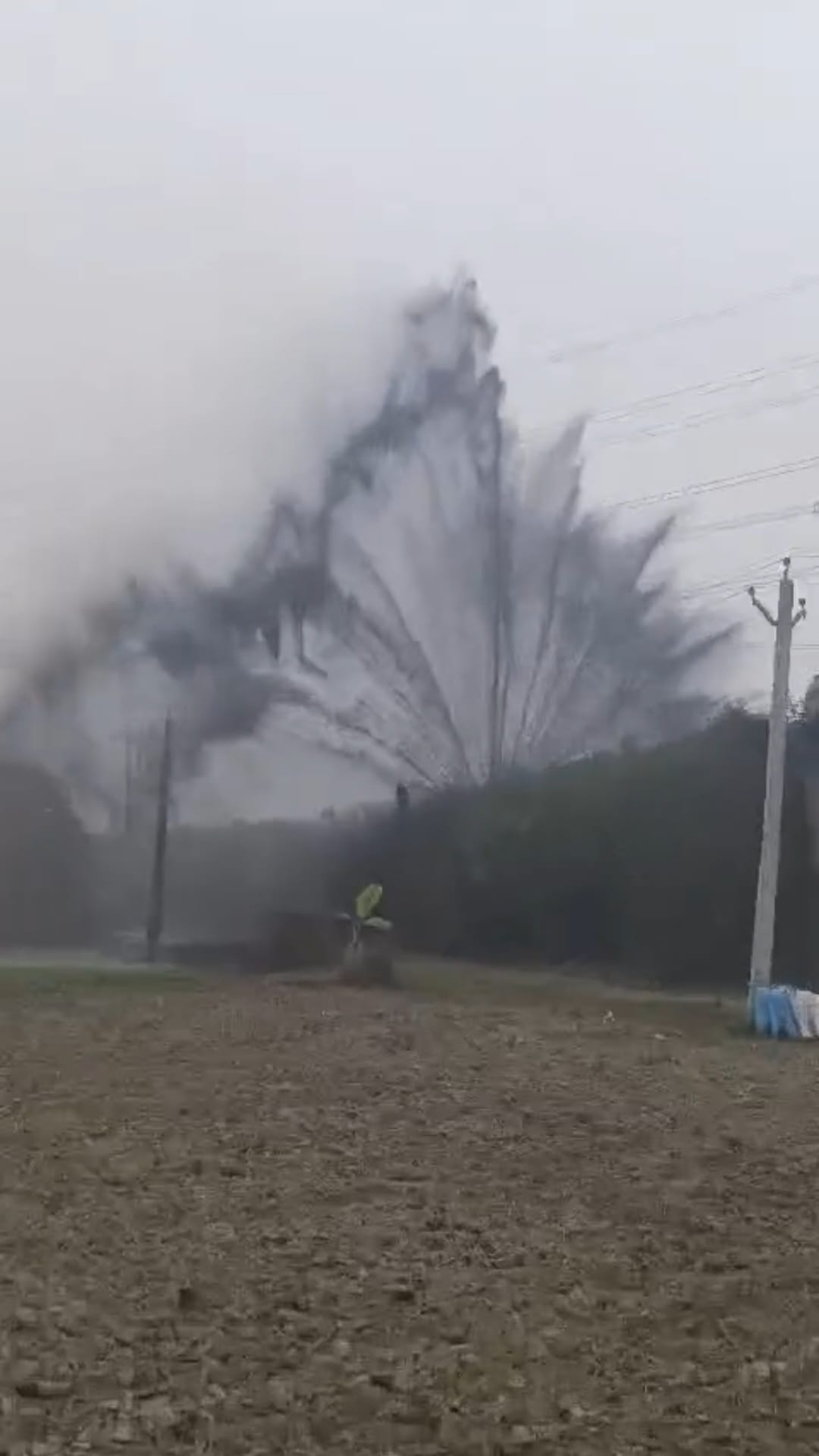 एनटीपीसी