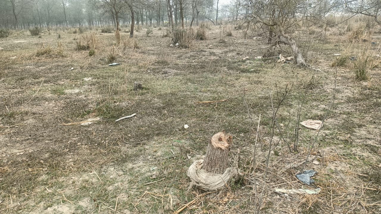 फोटो-14 कंचनपुर मार्ग पर कटरी धर्मपुर वन क्षेत्र में लगा वन विभाग का बोर्ड। संवाद