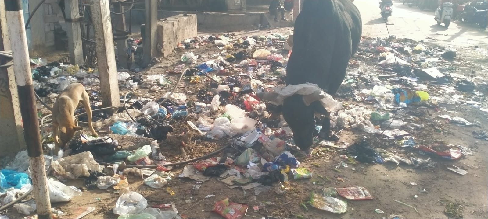 फोटो संख्या:61-  मोहल्ला  खटीकान  में  लगा गंदगी का ढे़र---संवाद