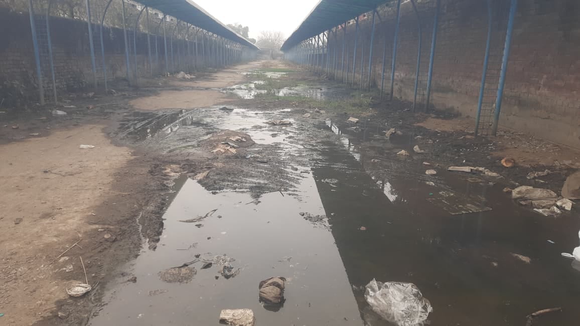 ससौली रोड पर निकासी न होने से नाले में जमा गंदा पानी। संवाद ससौली रोड पर निकासी न होने से नाले में जमा गंदा पानी। संवाद