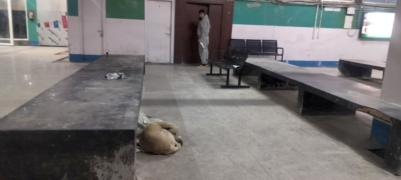 09जेएनडी23-नागरिक अस्पताल में सिटी स्कैन एरिया में घूम रहा आवारा कुत्ता। संवाद 09जेएनडी23-नागरिक अस्पताल में सिटी स्कैन एरिया में घूम रहा आवारा कुत्ता। संवाद