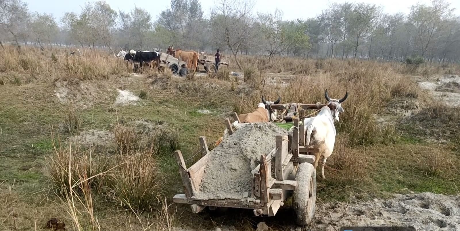 फोटो-17 हैवतपुर गढि़या और चिससरा रोड पर कर्बला के पास काटी जाती रसीद। संवाद फोटो-17 हैवतपुर गढि़या और चिससरा रोड पर कर्बला के पास काटी जाती रसीद। संवाद