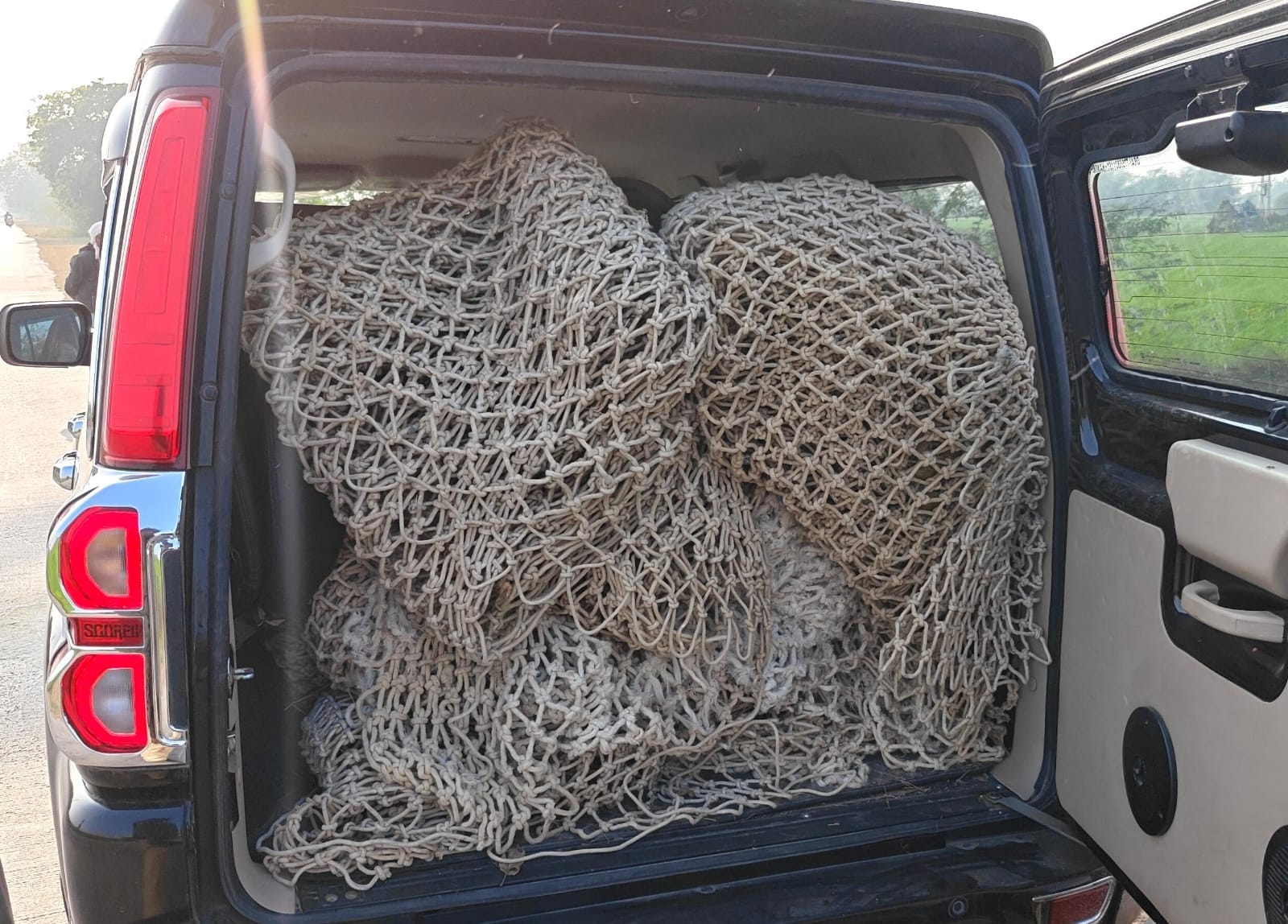 फोटो - 22 खेतों में ड्रोन उड़वाते डीएफओ प्रदीप कुमार। संवाद फोटो - 22 खेतों में ड्रोन उड़वाते डीएफओ प्रदीप कुमार। संवाद