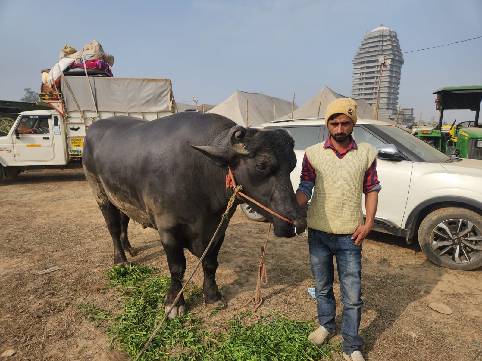 कुरुक्षेत्र। ब्यूटी प्रतियोगिता में कैथल पशुपालक की प्रथम आई कटड़ी। संवाद कुरुक्षेत्र। ब्यूटी प्रतियोगिता में कैथल पशुपालक की प्रथम आई कटड़ी। संवाद