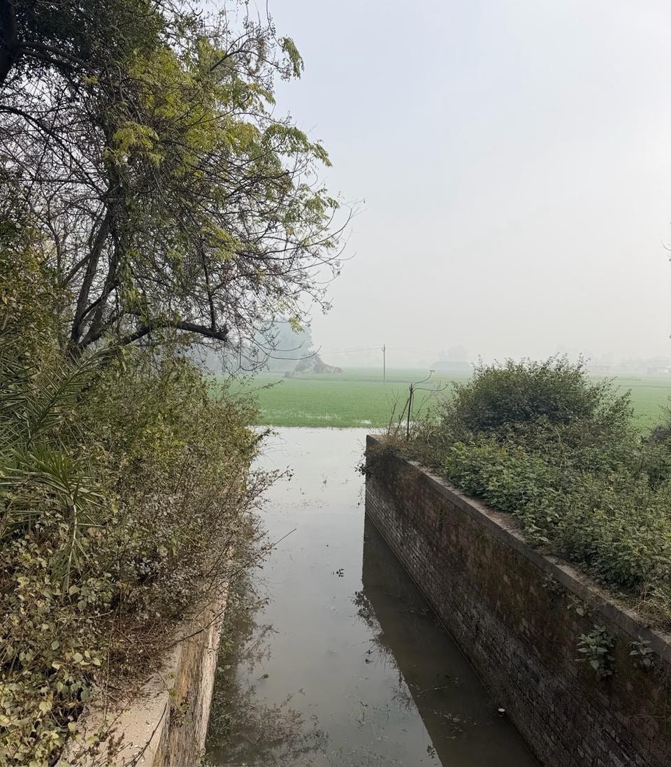 कुरुक्षेत्र। गेहूं की फसल डूबती देख किसानों द्वारा बंद किया गया एसवाईएल का पानी। स्वयं