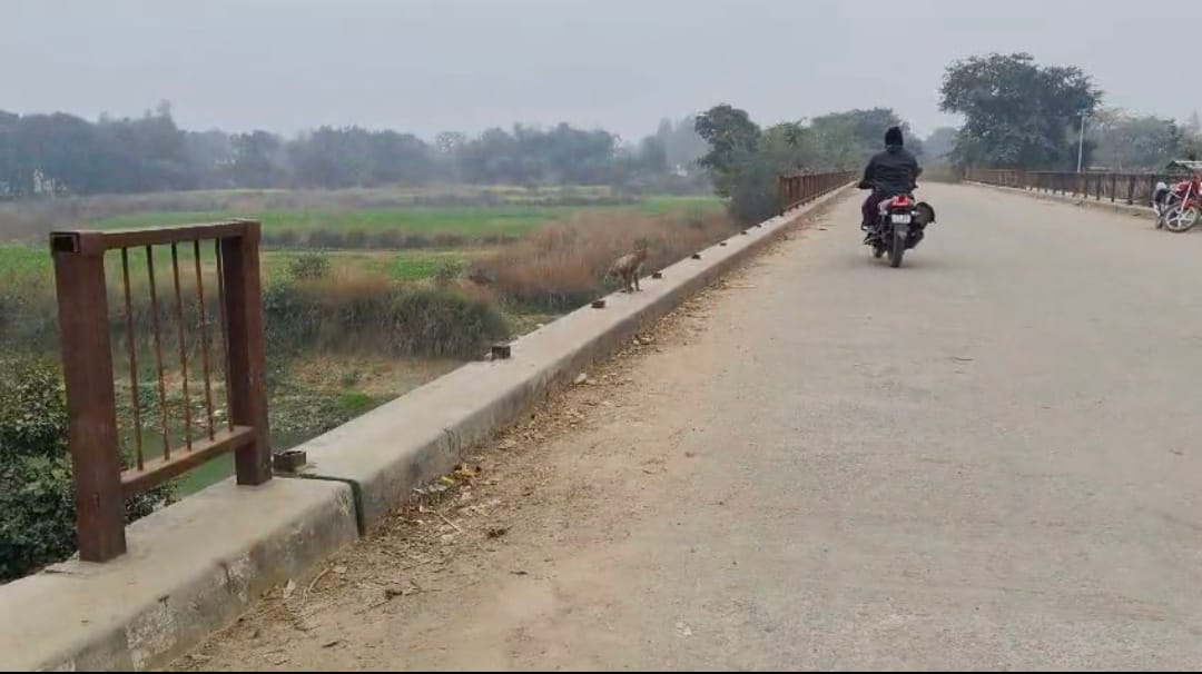 खलीलाबाद के चकदही के पास पुलिया की टूटी रेलिंग-संवाद