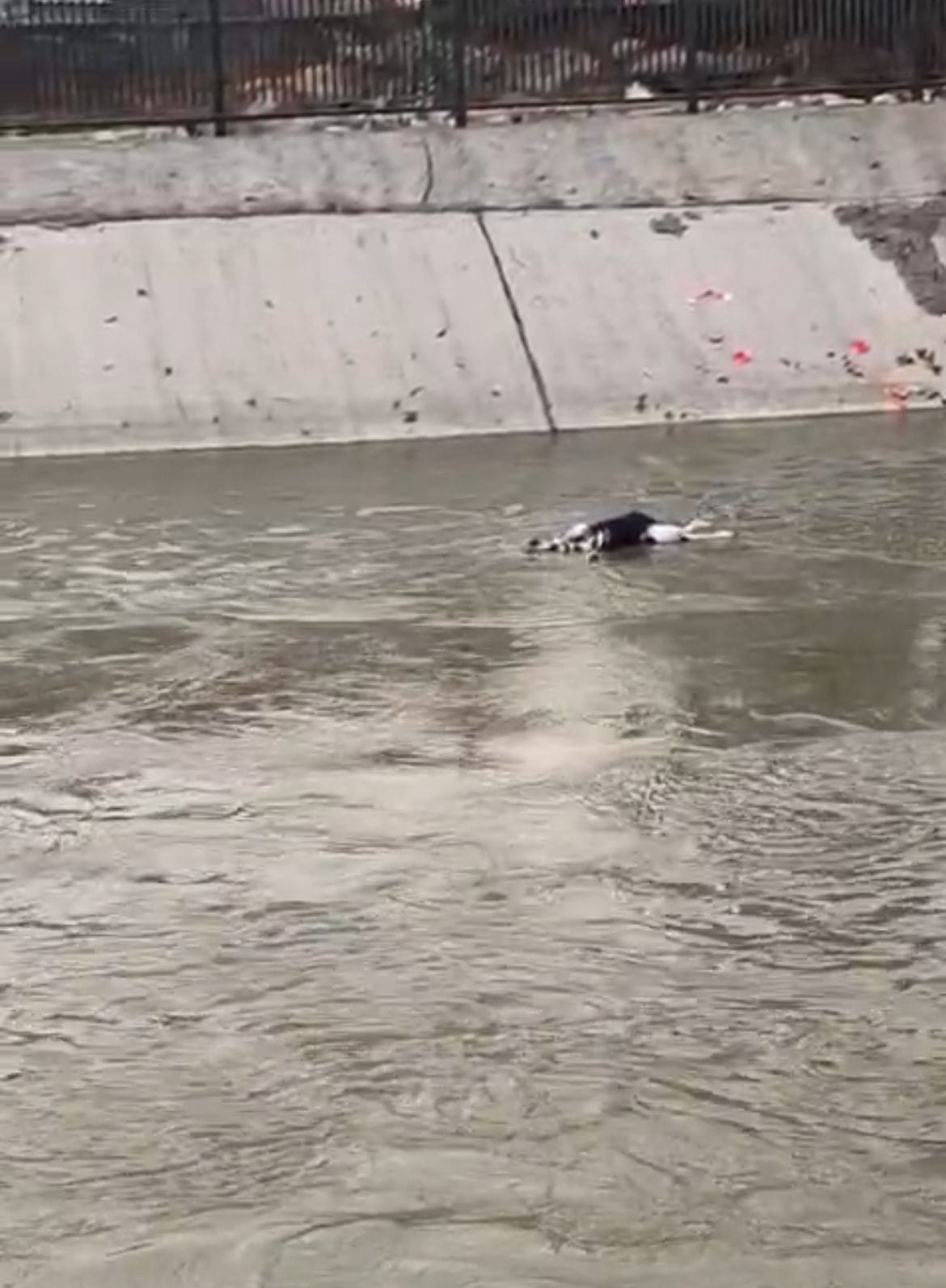 37 रोहतक के दिल्ली बाईपास स्थित जेएलएन ने डाली गई सामग्री व प्लास्टिक कचरा। संवाद