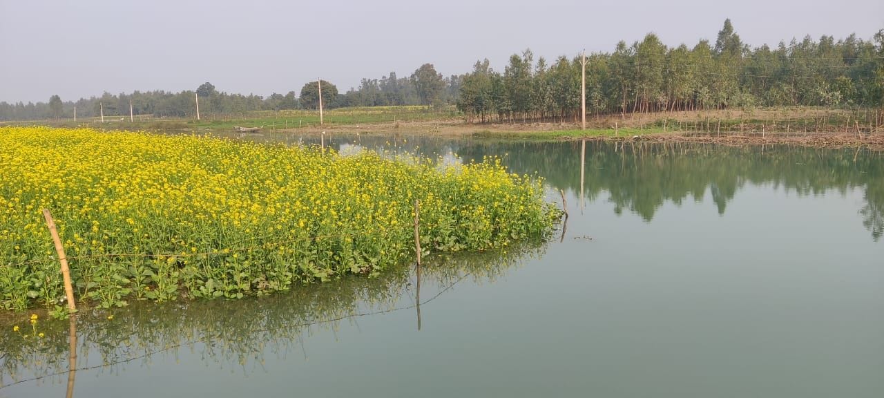 फोटो-21-बाल्हेमऊ में कंबल वितरित करते अभयेंद्र सिंह। स्रोत: आयोजक