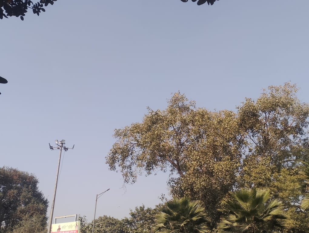 सुबह के समय खेतों में छाई धुंध। संवाद सुबह के समय खेतों में छाई धुंध। संवाद