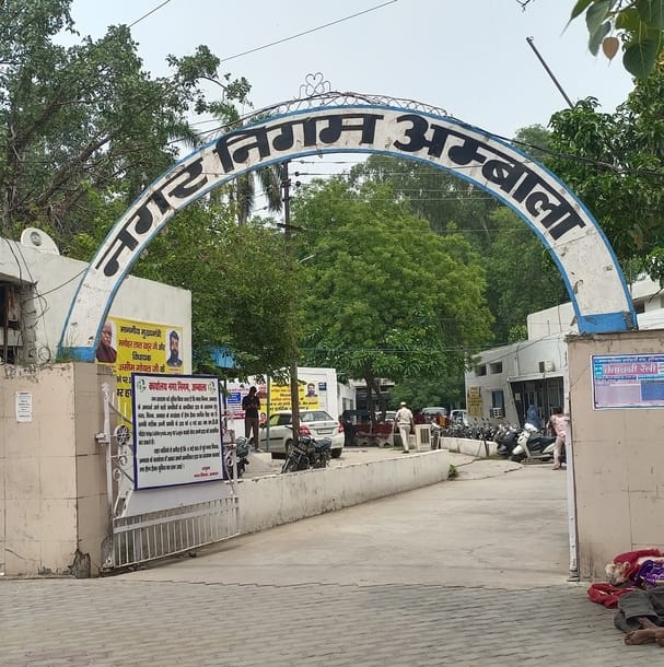 शहर के नई सब्जी रोड पर घूमते हुए लावारिस गोवंश। संवाद