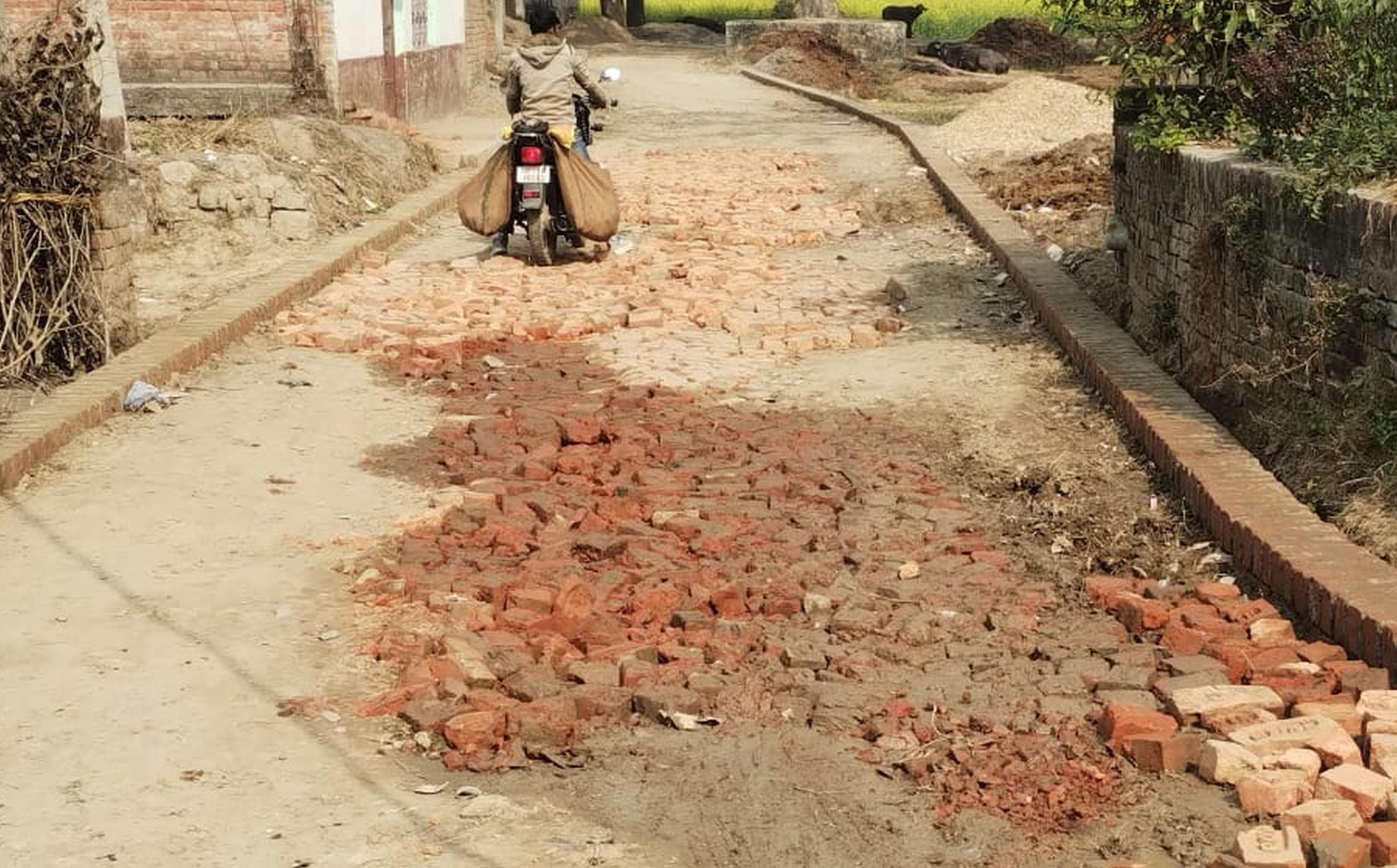 फोटो-3-इंटरलाकिंग के स्थान पर बिछाई गई ईंटे। संवाद