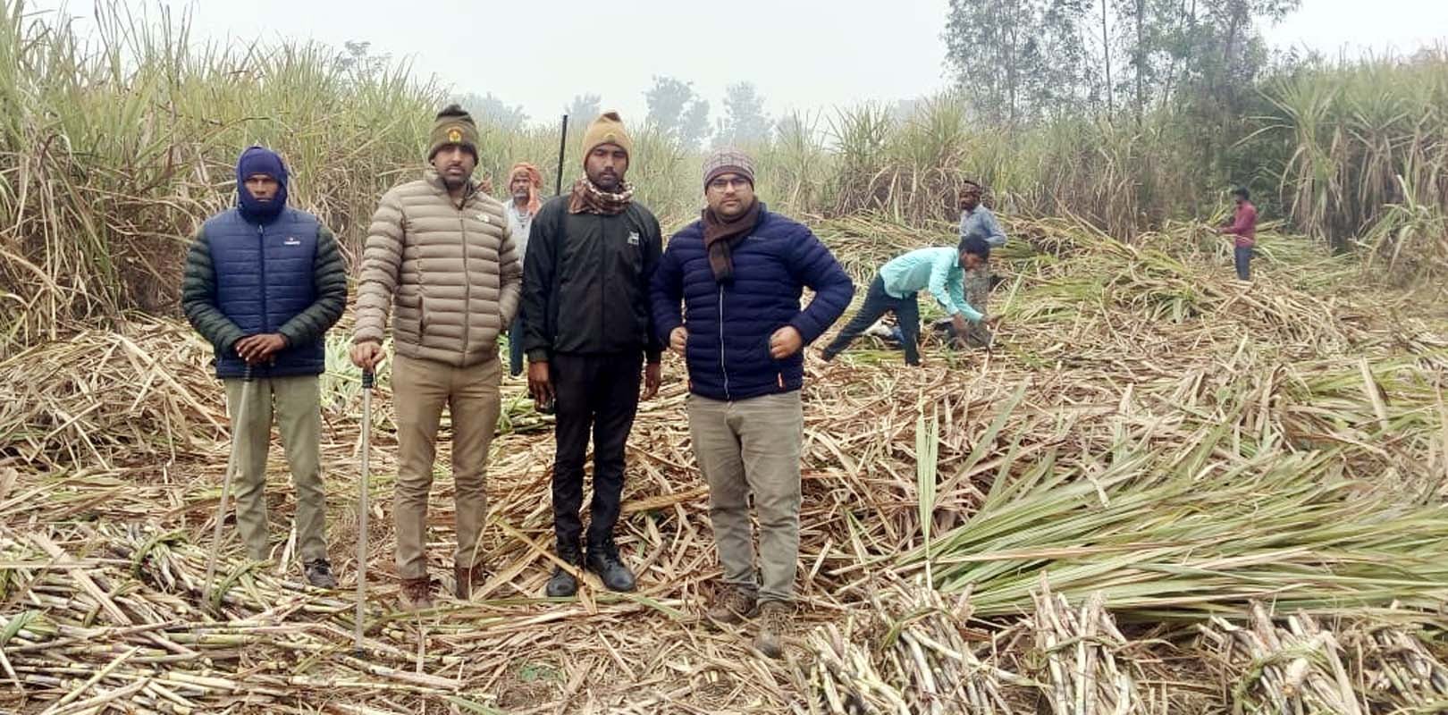 खुटार के हिमंचलपुर में बाघ दिखने के बाद मौके पर मौजूद किसान और वनकर्मी। स्रोत : वन विभाग