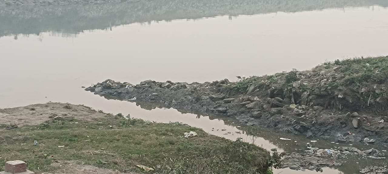 एसटीपी का गंदा पानी नहर में गिरने से न दिखे लगाई गई झाड़ियां। संवाद