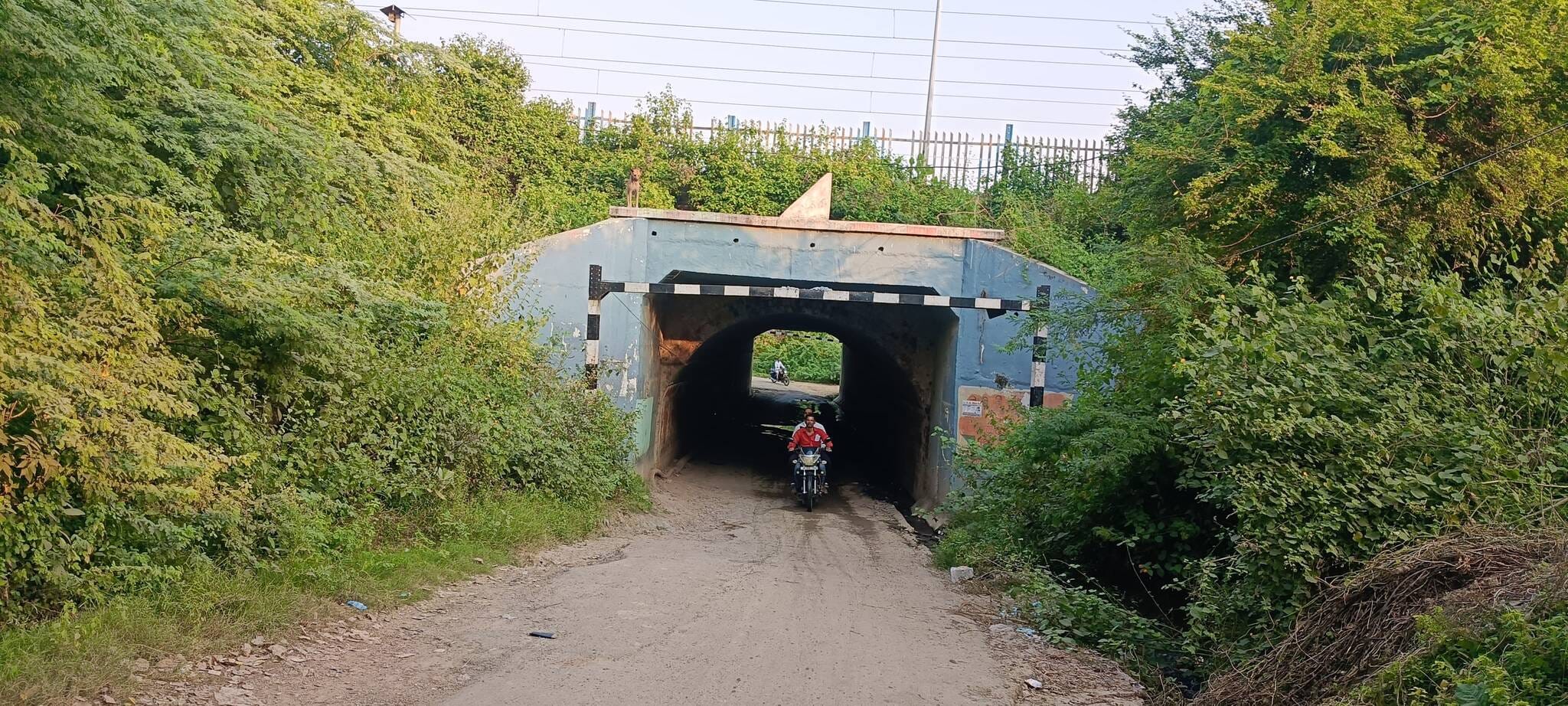 फोटो-2-प्रस्तावित सड़क की जगह। संवाद<p></p><p>
                                <!-- removed read more from here -->
                
                
                                
                
                                                                                        
                                 
                                
                               
                                
                                                 
                <br>
                                <!-- removed read more from here -->
                
                
                                
                
                                                                                        
                                 
                                
                               
                                
                                                 
                </p>