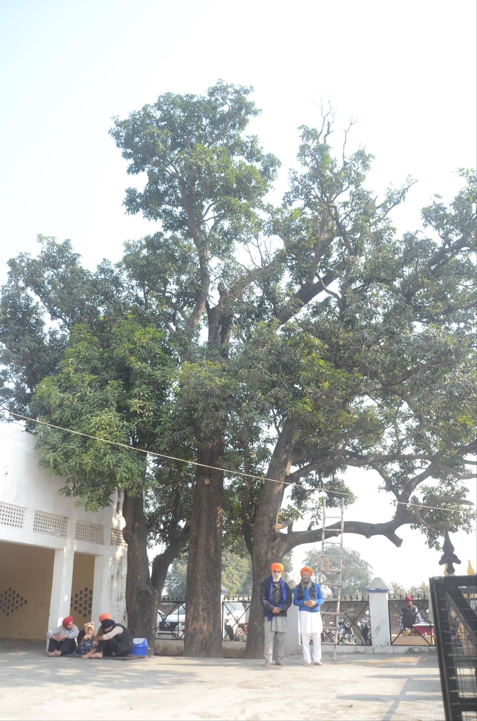 प्रधान बलिंद्र सिंह। प्रधान बलिंद्र सिंह।