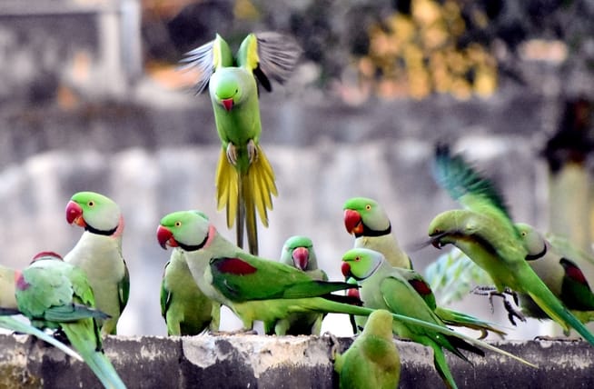 अमर उजाला....धूप ने दिलाई ठिठुरन से मुक्ति....वेस्ट एंड रोड स्थित स्कूल से छुट्टी के बाद घर जात अमर उजाला....धूप ने दिलाई ठिठुरन से मुक्ति....वेस्ट एंड रोड स्थित स्कूल से छुट्टी के बाद घर जात